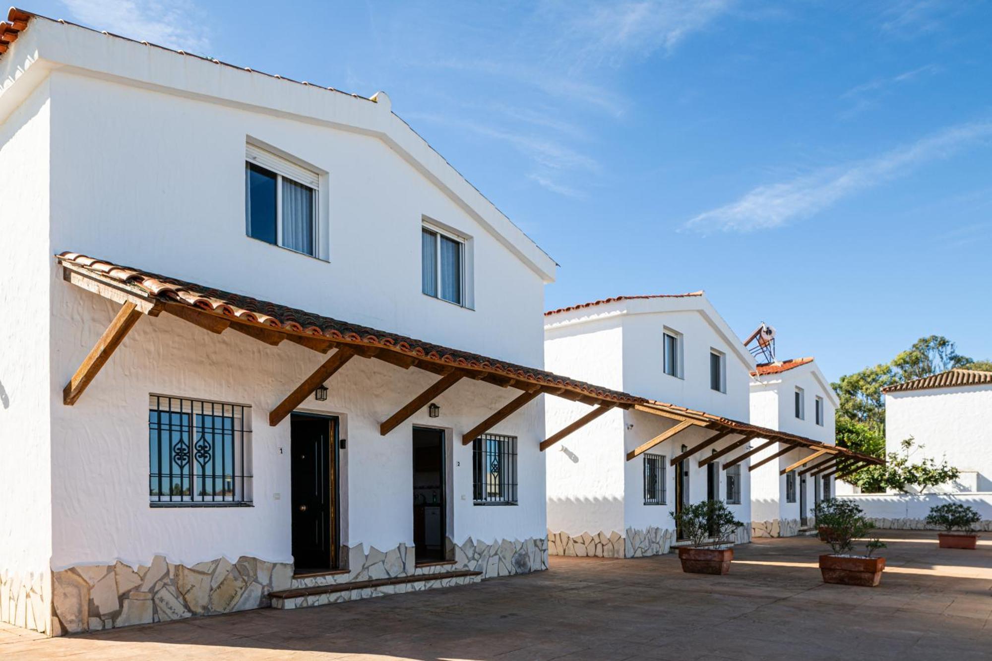 Olivos Conil De La Frontera